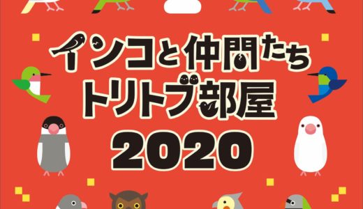インコと仲間たちトリトブ部屋2020（2020/1/6-24）