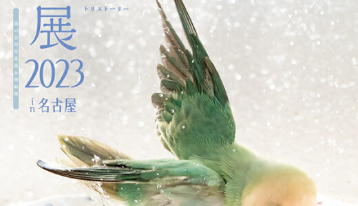 鳥物語トリストーリー展2023 in 名古屋 (2023/09/02-18)