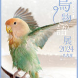 鳥物語トリストーリー展 2024 in 名古屋 (2024/04/09-05/30)