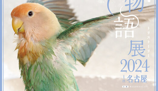 鳥物語トリストーリー展 2024 in 名古屋 (2024/04/09-05/30)