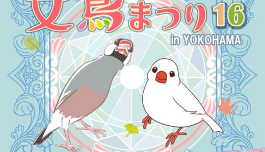 文鳥まつり16 (2024/10/24-29)