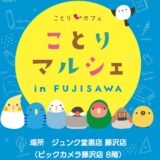 ことりマルシェ藤沢 於ジュンク堂書店藤沢店 (2025/02/15-03/31)