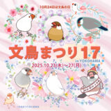 文鳥まつり17 於ハンズ横浜店屋上 (2025/10/23-27)