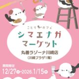 シマエナガマーケット川崎 於丸善ラゾーナ川崎店(2025/12/27-2026/1/15)