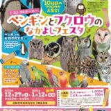 ペンギンとフクロウのなかよしフェスタ(2025/12/27-2026/1/12)