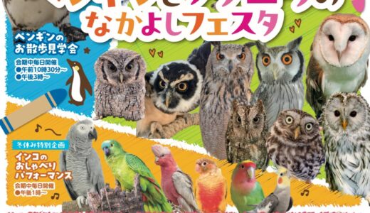 ペンギンとフクロウのなかよしフェスタ(2025/12/27-2026/1/12)