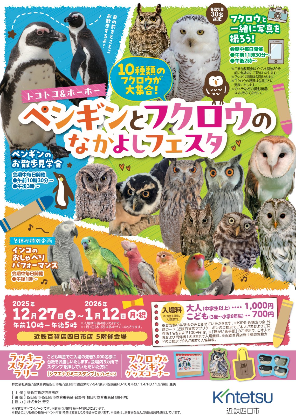 ペンギンとフクロウのなかよしフェスタ(2025/12/27-2026/1/12