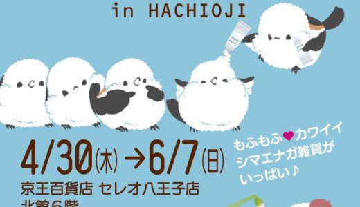 シマエナガマーケット八王子 於京王百貨店 セレオ八王子店(2026/04/30-06/07)